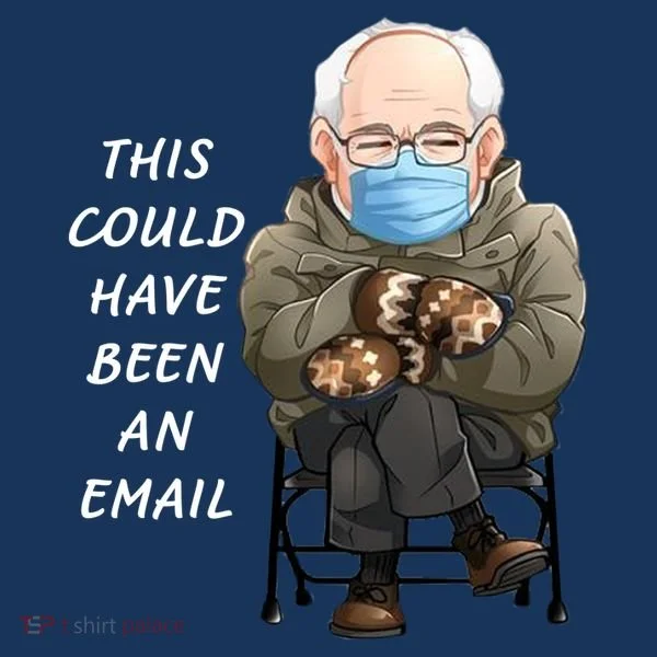 This Could Have Been An Email Bernie Sanders Toddler Hoodie