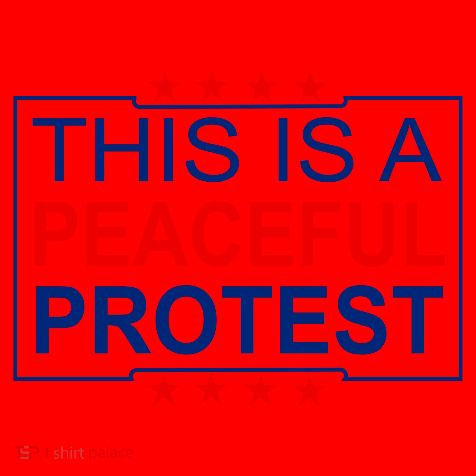 This Is A Peaceful Protest Pro Trump Santa Hat
