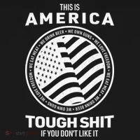 This Is America Toddler Hoodie thumb 2
