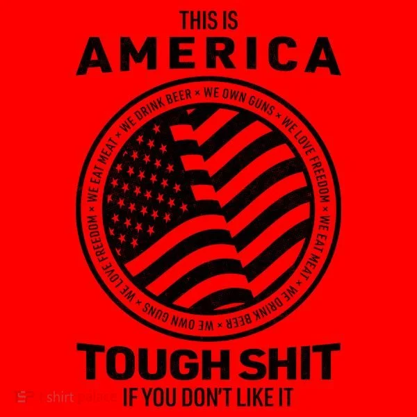 This Is America Santa Hat