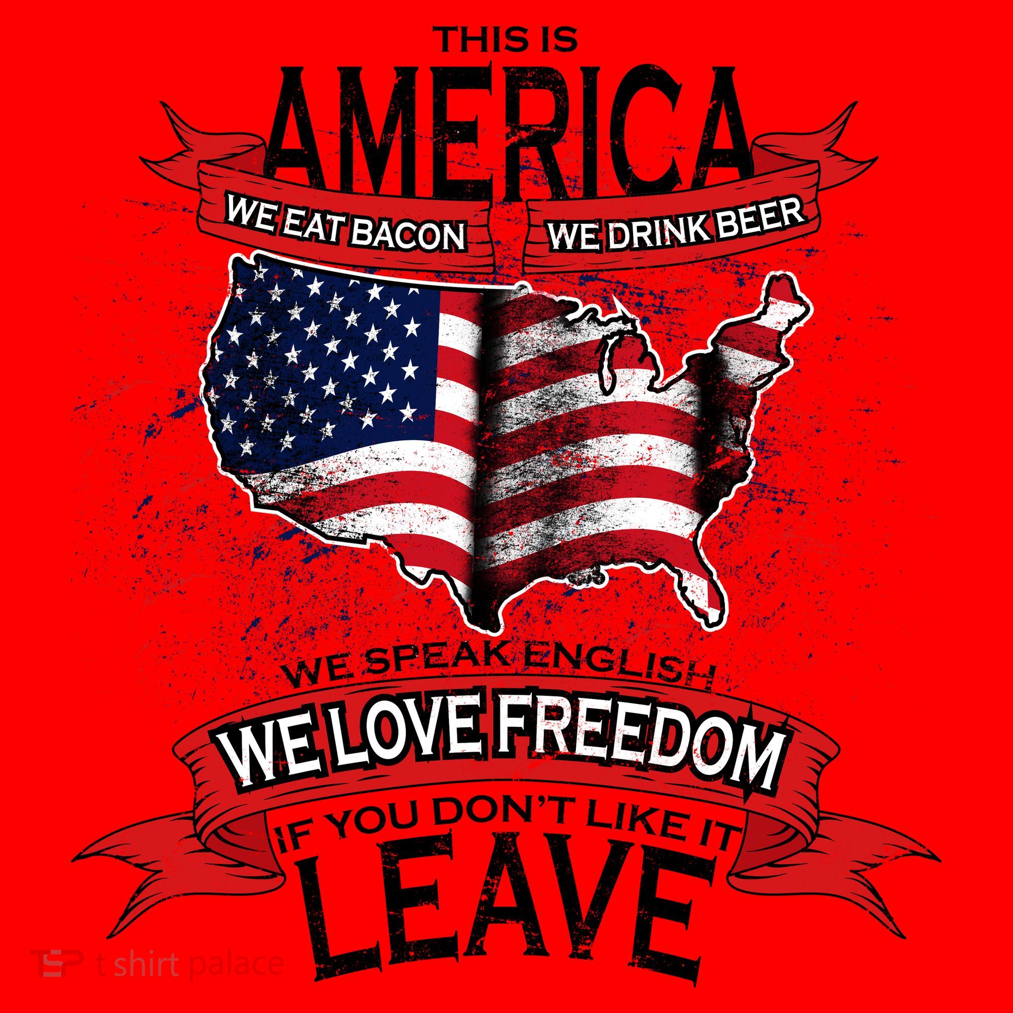 This is AMERICA if you don't like it LEAVE Santa Hat