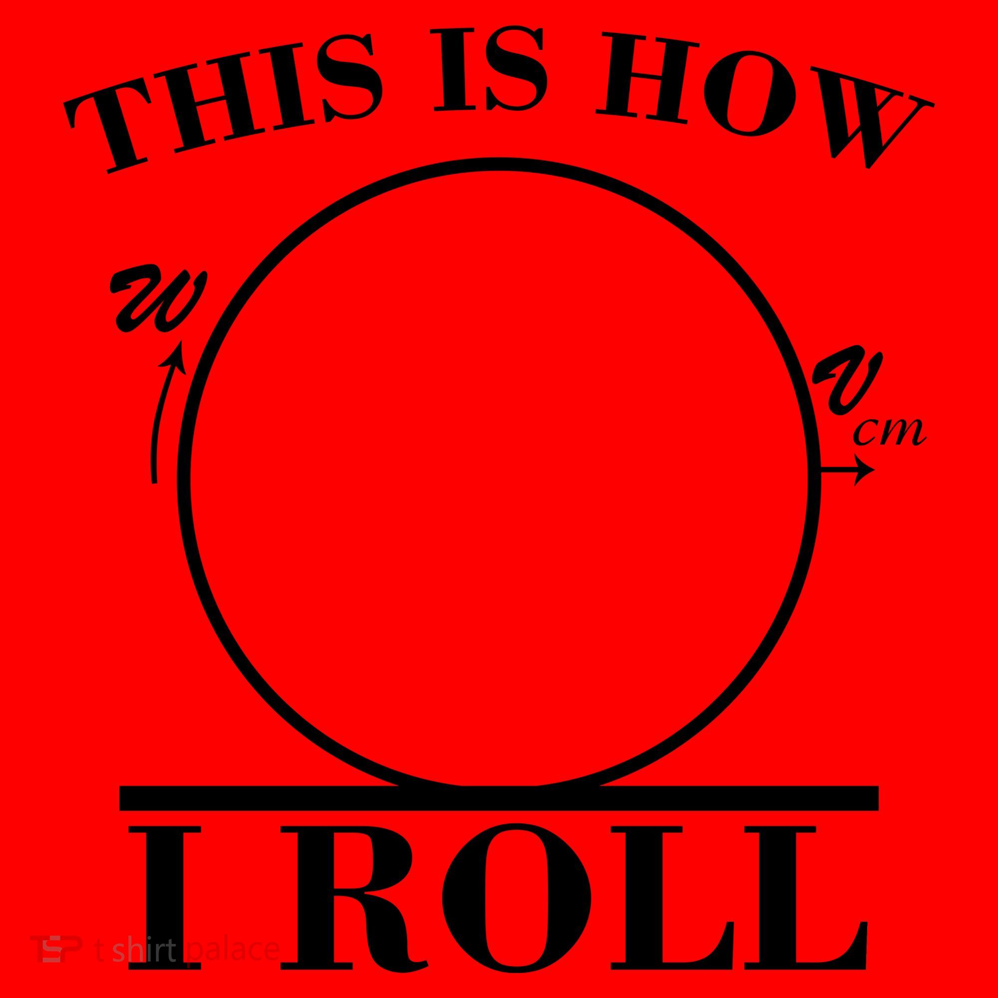 This Is How I Roll Math Science Physics Santa Hat