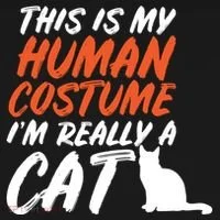 This Is My Human Cat Costume Ornament thumb 1