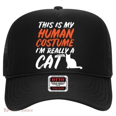This Is My Human Cat Costume Hat