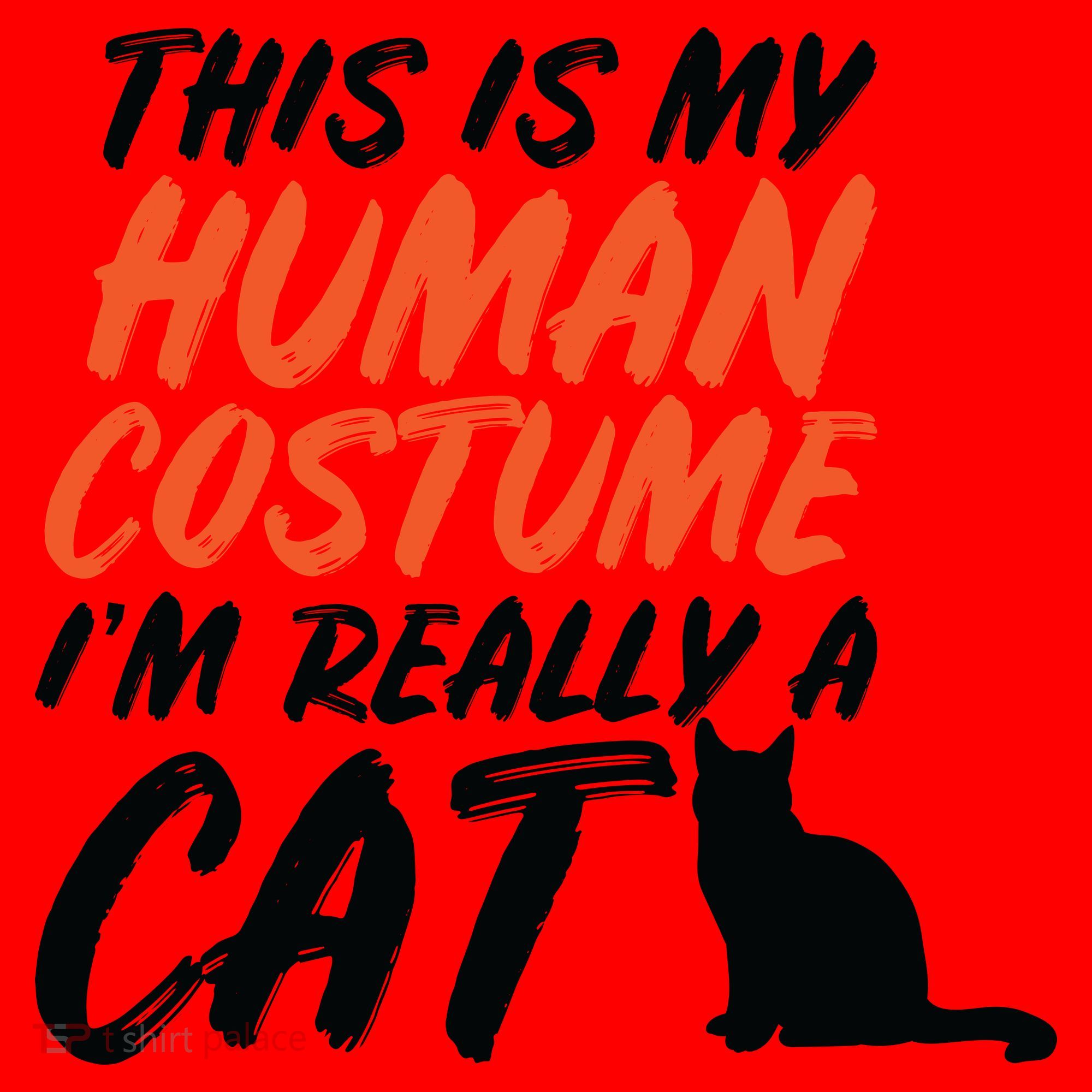 This Is My Human Cat Costume Santa Hat