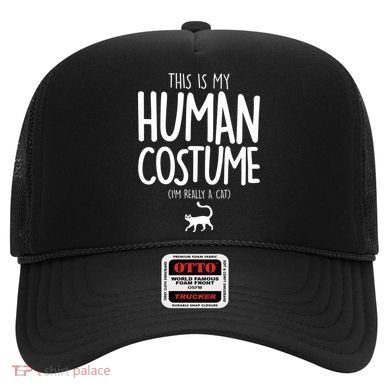 This Is My Human Costume I'm Really a Cat Hat