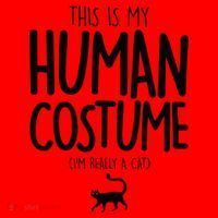 This Is My Human Costume I'm Really a Cat Santa Hat thumb 1