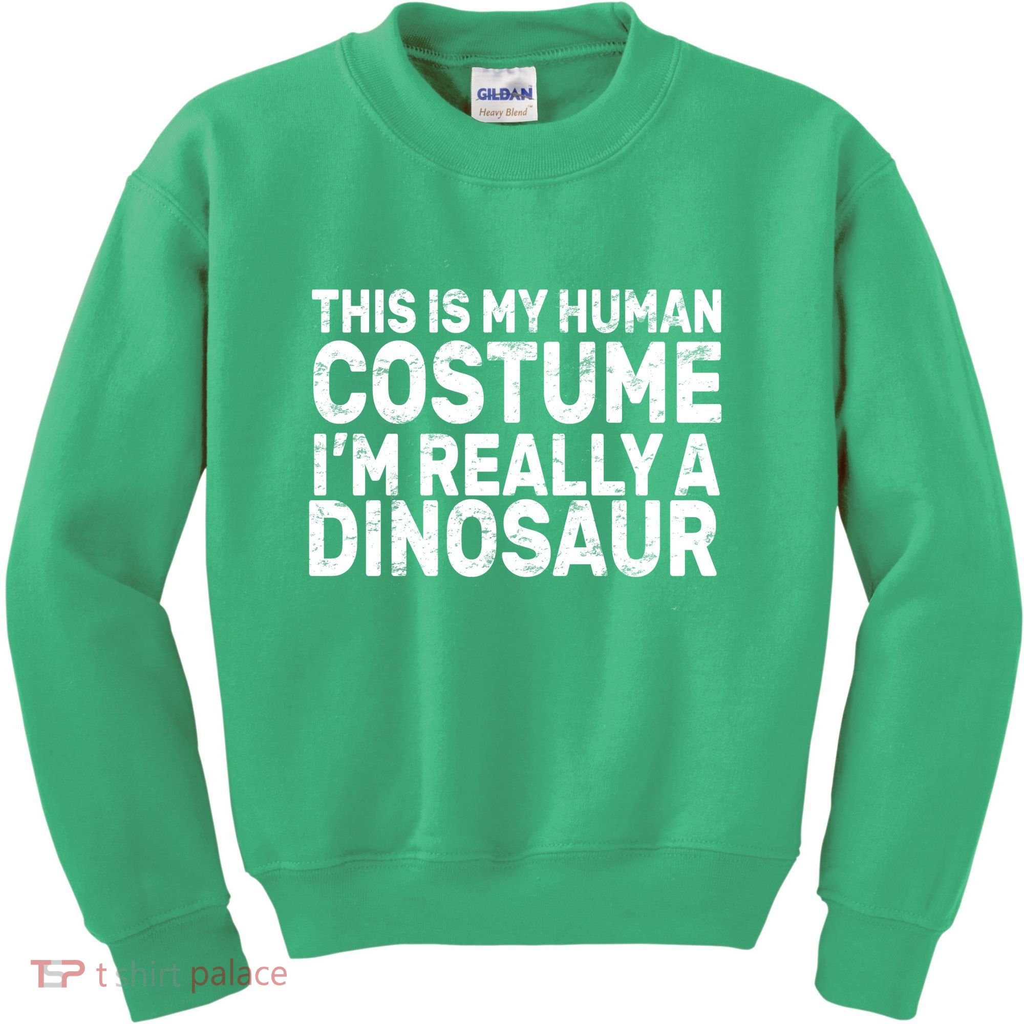 This Is My Human Costume I'm Really a Dinosaur Kids Sweatshirt