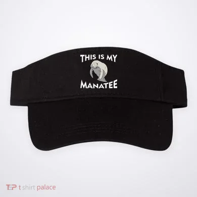 Visor