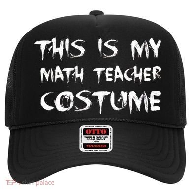 This Is My Math Teachers Costume Hat