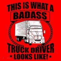 This Is What A Badass Truck Driver Looks Santa Hat thumb 1