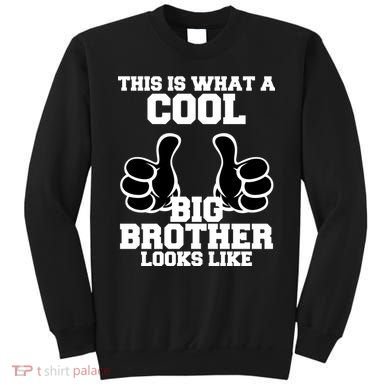 This Is What A Cool Big Bro Looks Like Sweatshirt