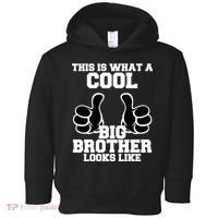 This Is What A Cool Big Bro Looks Like Toddler Hoodie thumb 0