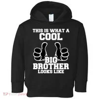 This Is What A Cool Big Bro Looks Like Toddler Hoodie thumb 0