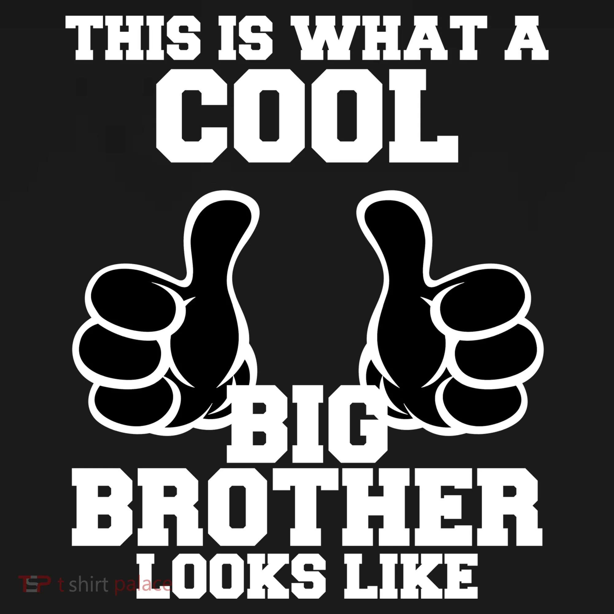 This Is What A Cool Big Bro Looks Like Kids Sweatshirt