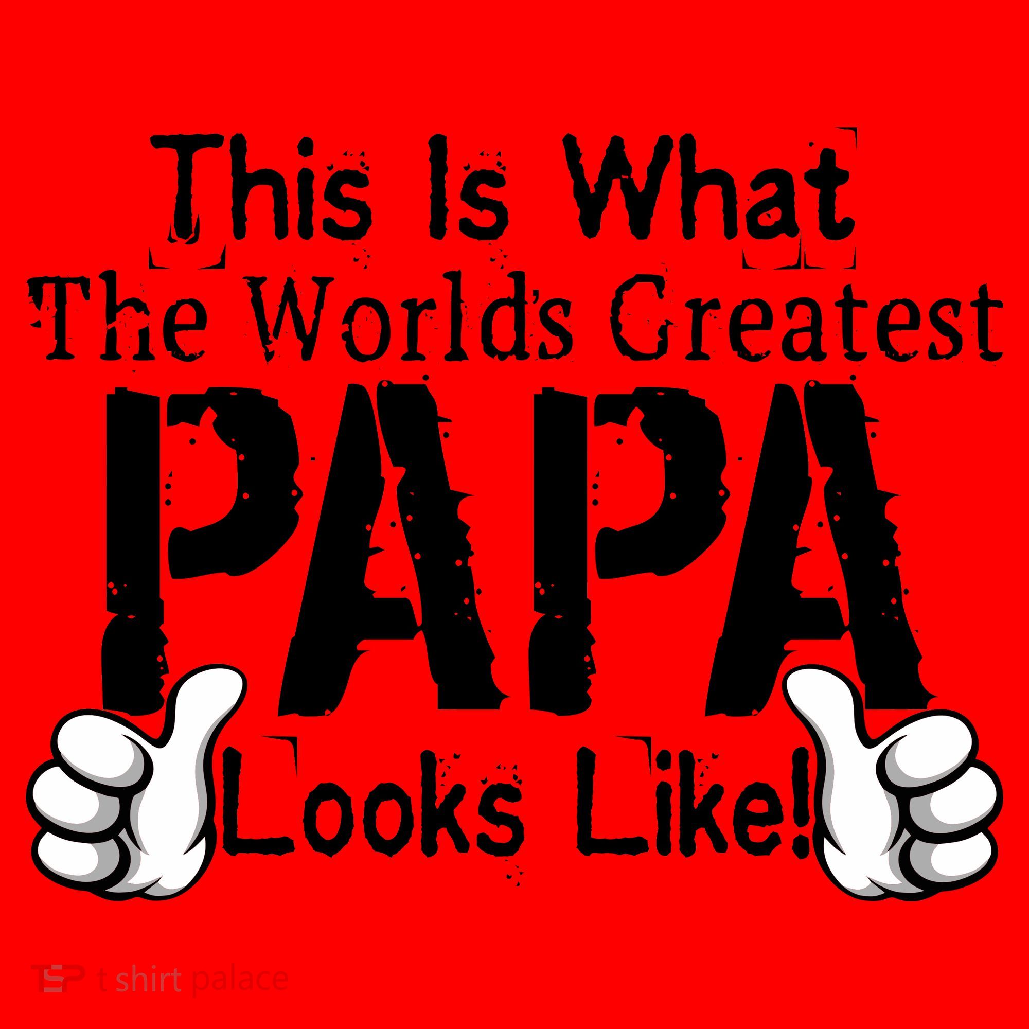 This Is What The World's Greatest Papa Looks Like Santa Hat