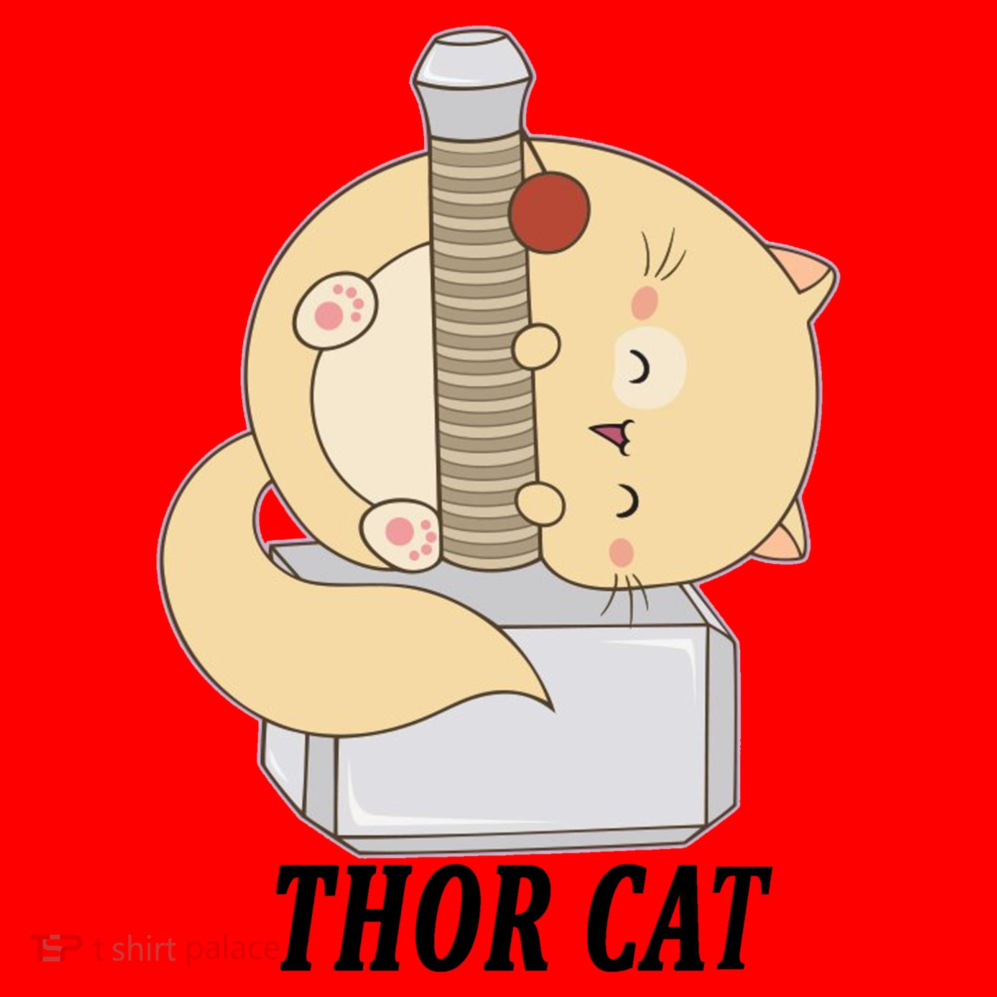 Thor Cat Santa Hat