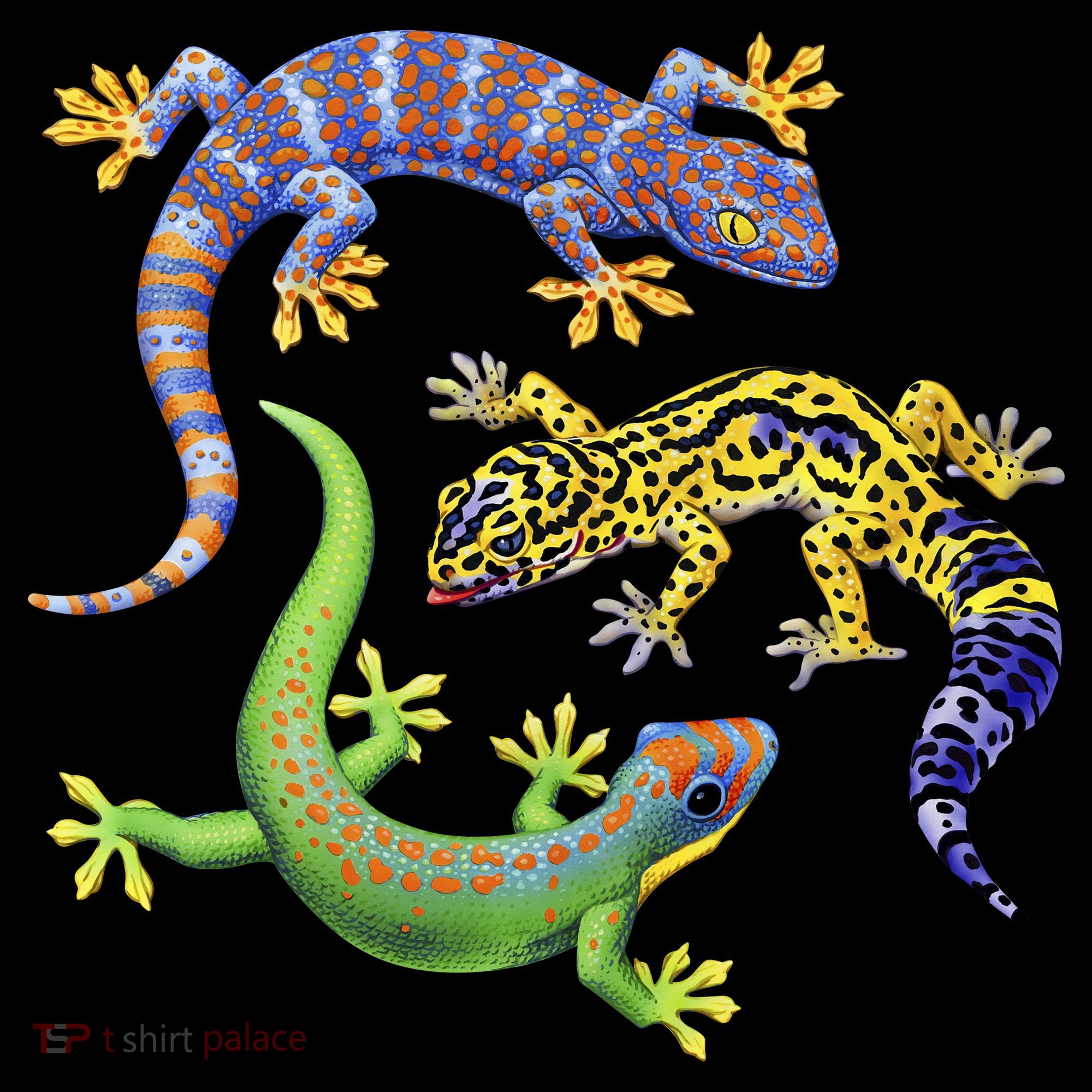 Three Geckos Polo