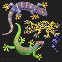 Three Geckos Hat thumb 2