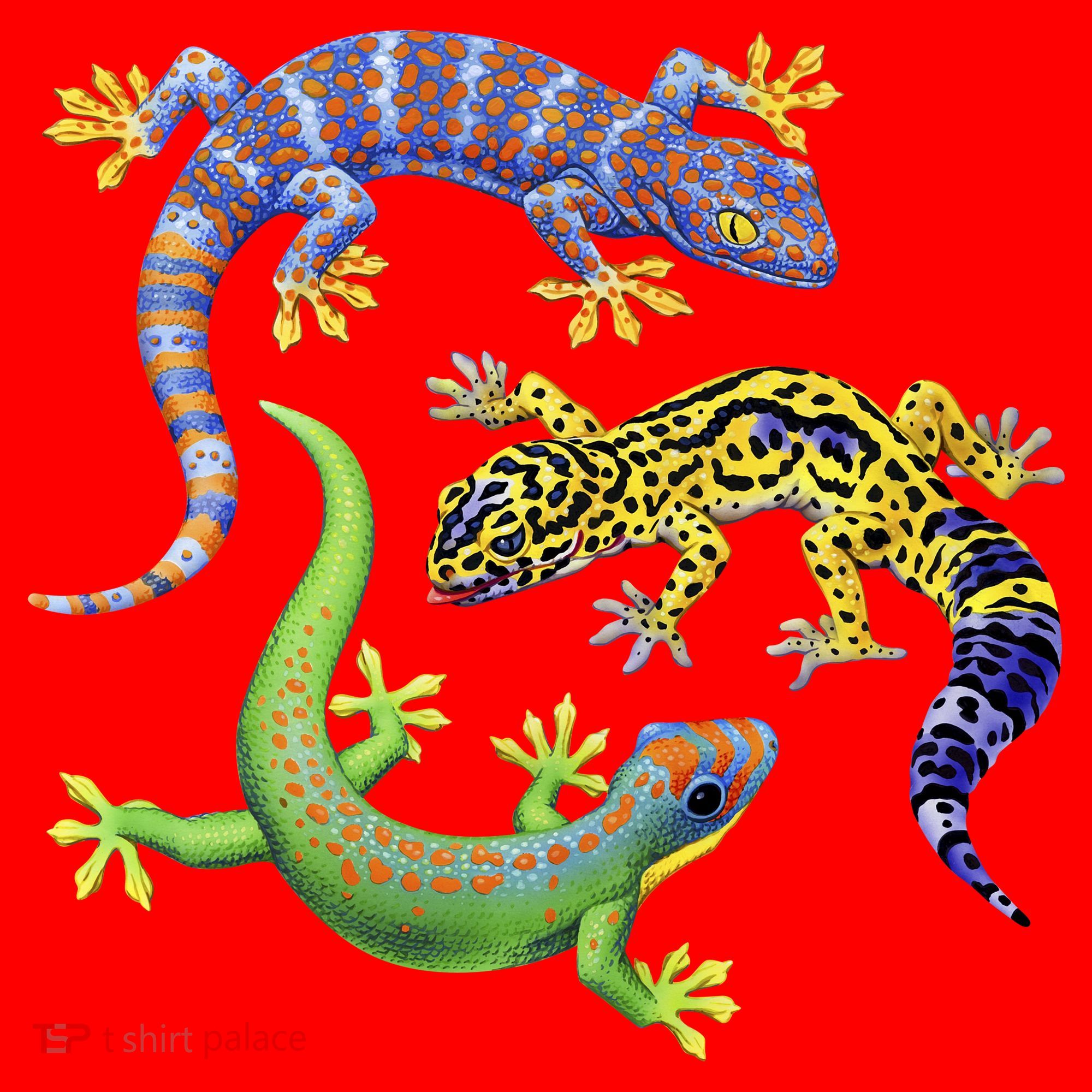 Three Geckos Santa Hat