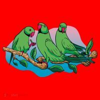 Three Parrots Santa Hat thumb 1