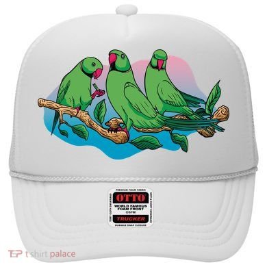 Three Parrots Hat