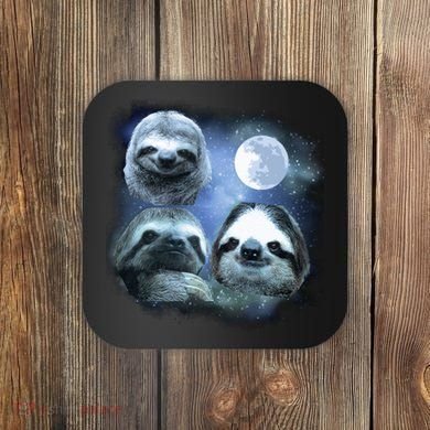 Three Sloths In Space Coaster