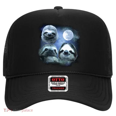 Three Sloths In Space Hat