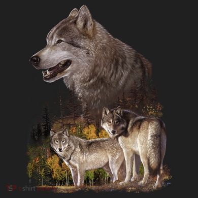 Three Wolf Collage Ladies Heavyweight Boxy Pullover Hoodie
