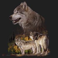 Three Wolf Collage Tumbler thumb 3