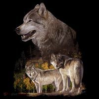 Three Wolf Collage Women's Long Sleeve Shirt thumb 2