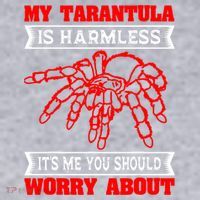 Tarantula Hairy Spiders Arachnid Entomophile Entomologist Women's Sweatshirt thumb 2