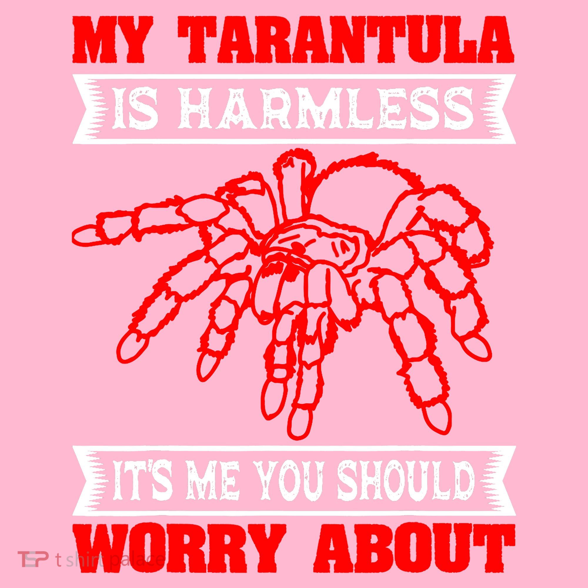 Tarantula Hairy Spiders Arachnid Entomophile Entomologist Coaster