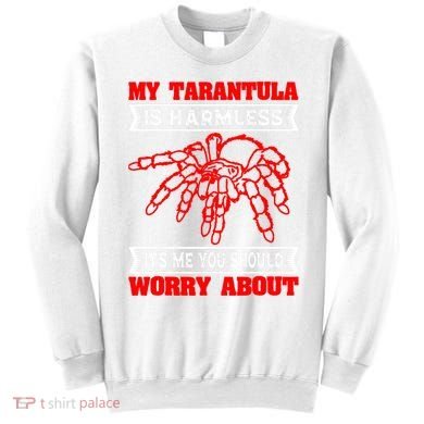 Tarantula Hairy Spiders Arachnid Entomophile Entomologist Sweatshirt