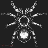 Tarantula Huge Spider Phobia Halloween Costume Arachnophobia Women's Sweatshirt thumb 2