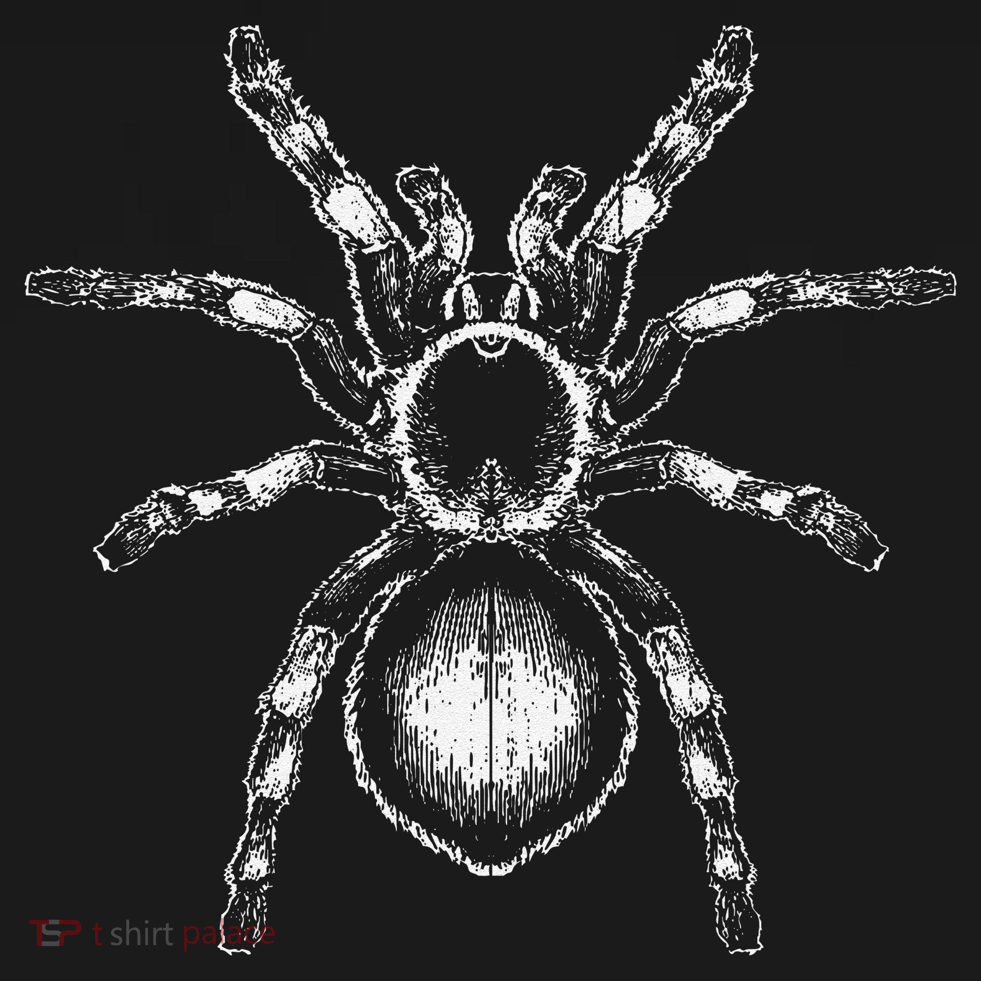 Tarantula Huge Spider Phobia Halloween Costume Arachnophobia Women's Hoodie