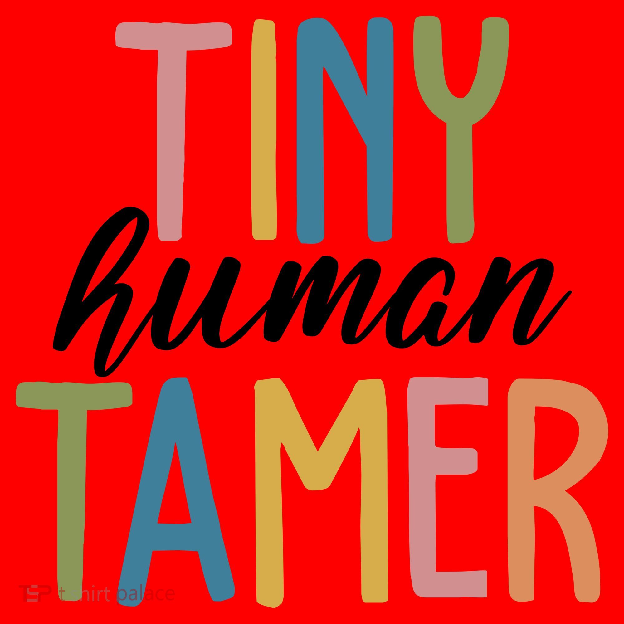 Tiny Human Tamer Kindergarten Teacher Santa Hat