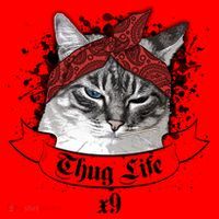 Thug Life X9 Gangster Cat Santa Hat thumb 1