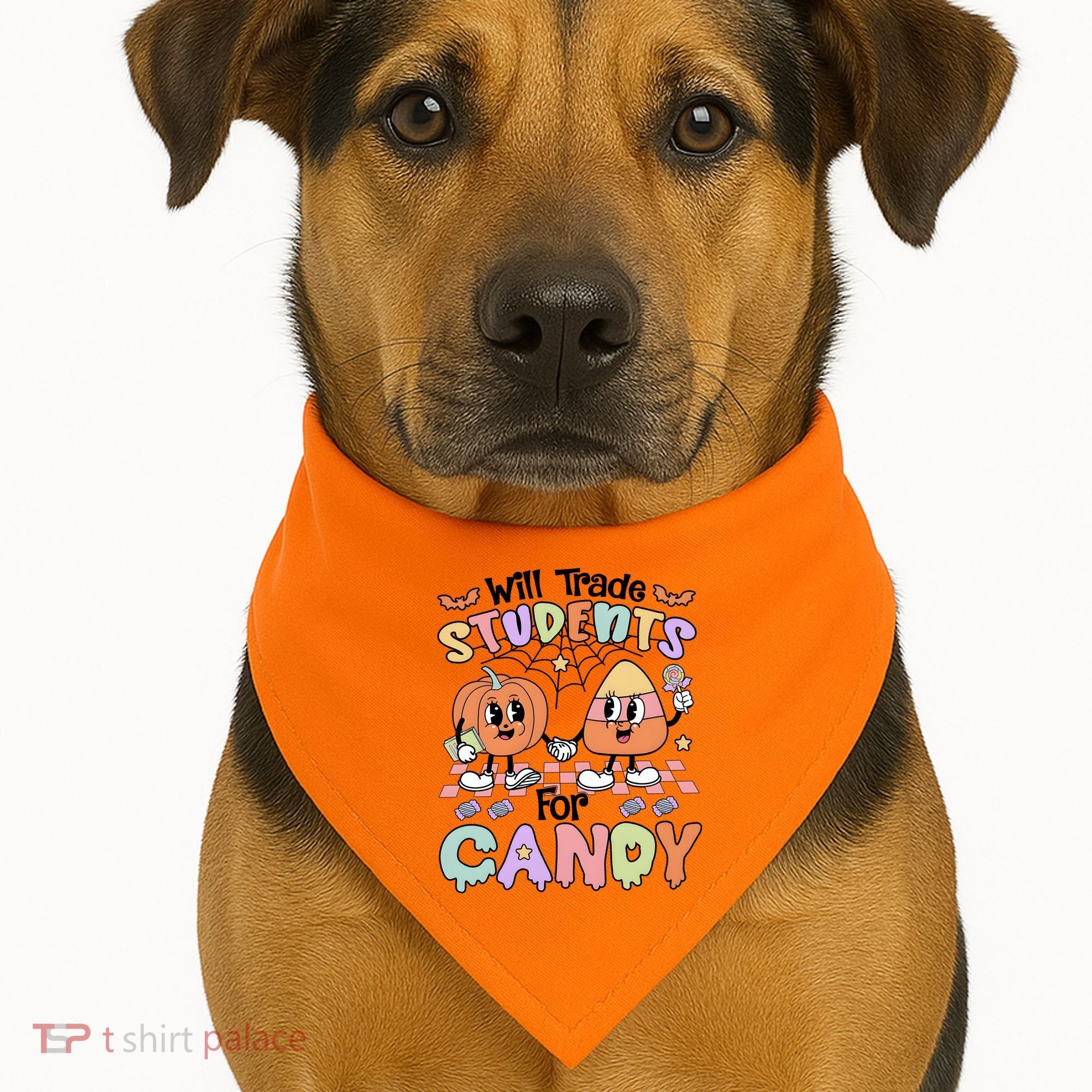 Teacher Halloween Will Trade Students For Candy Retro USA-Made Doggie Bandana
