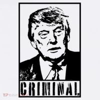 Trump Is A Criminal Anti Trump Impeach The President Women's Hoodie thumb 2