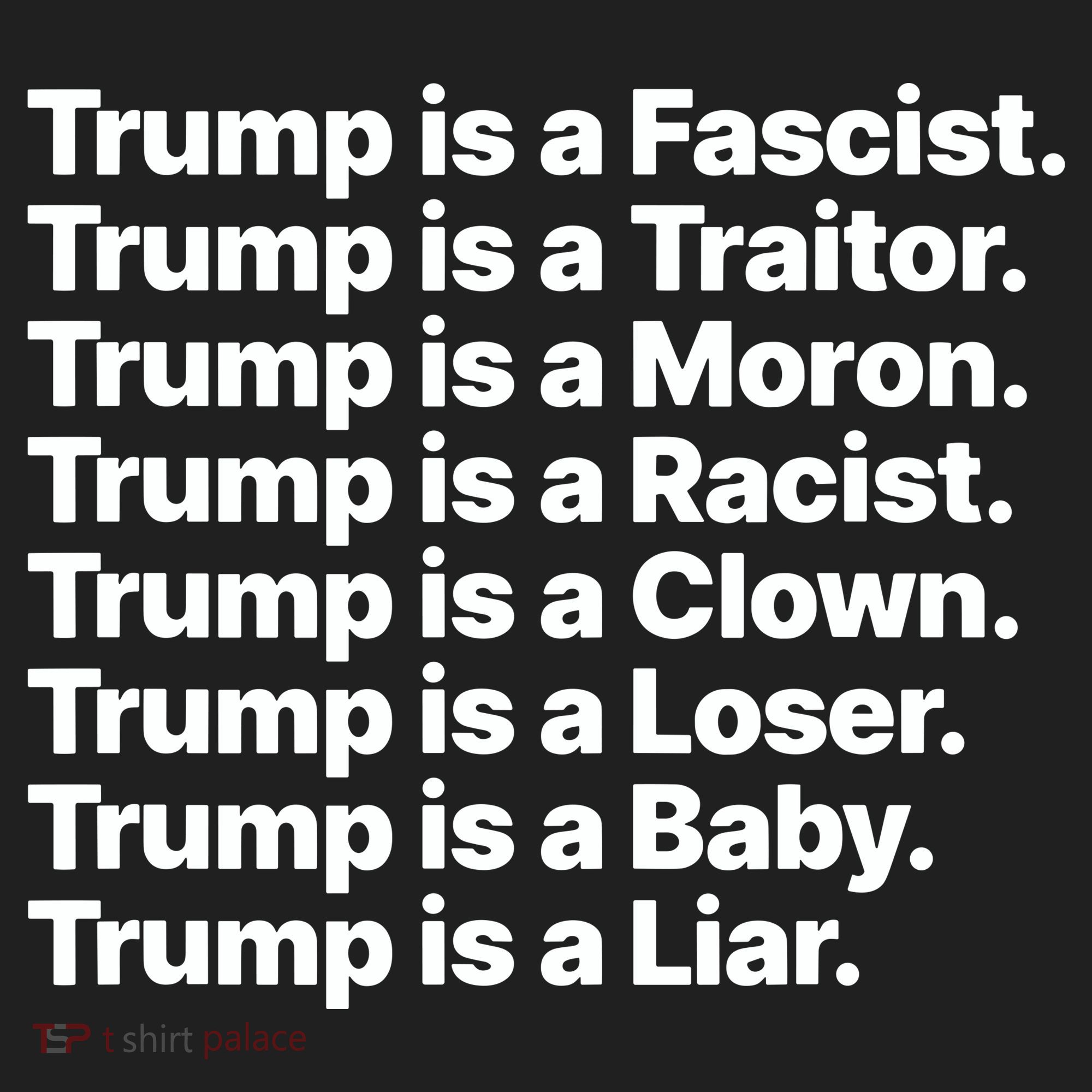 Trump Is A Fascist Traitor Moron Racist Clown Loser Liar Beanie