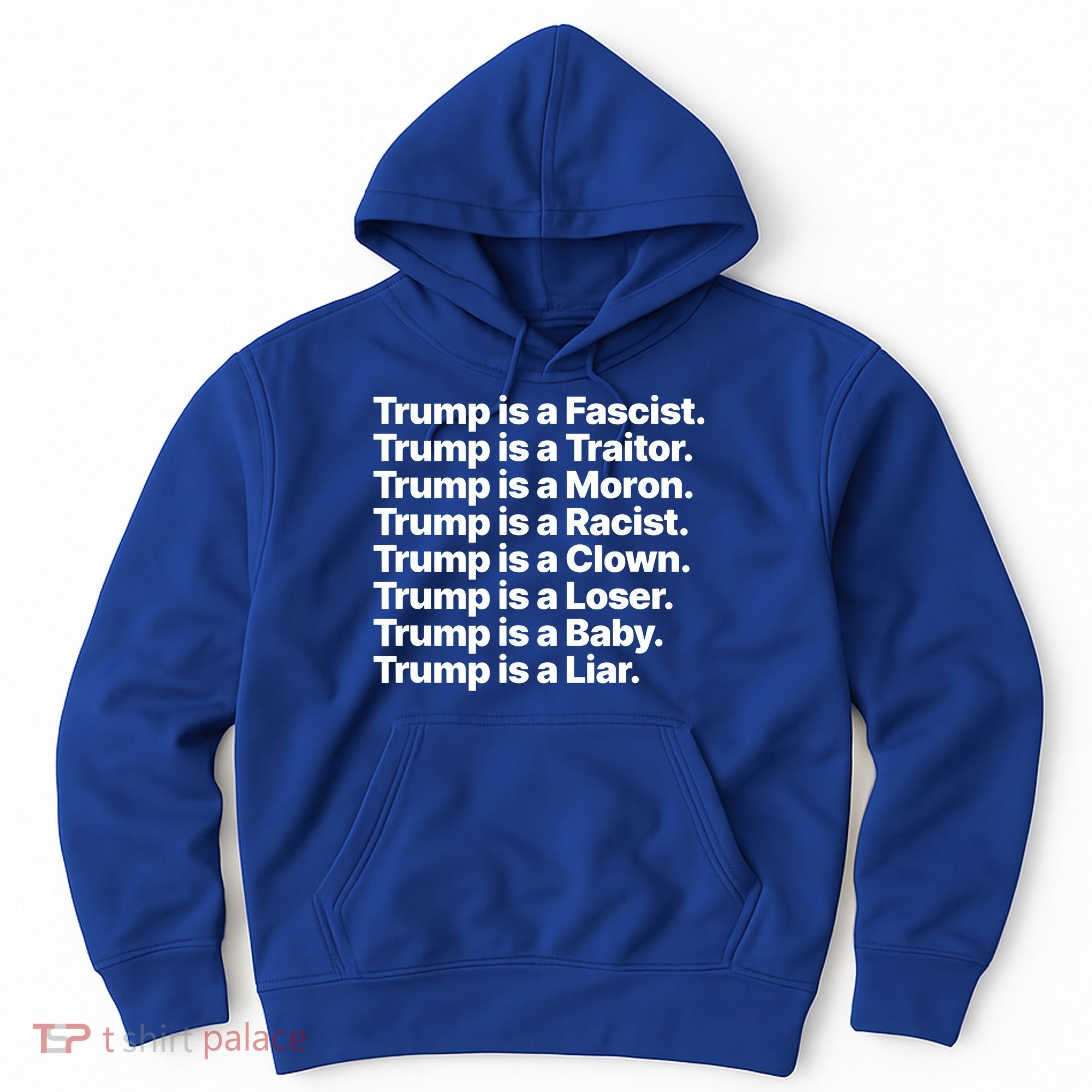 Trump Is A Fascist Traitor Moron Racist Clown Loser Liar Hoodie