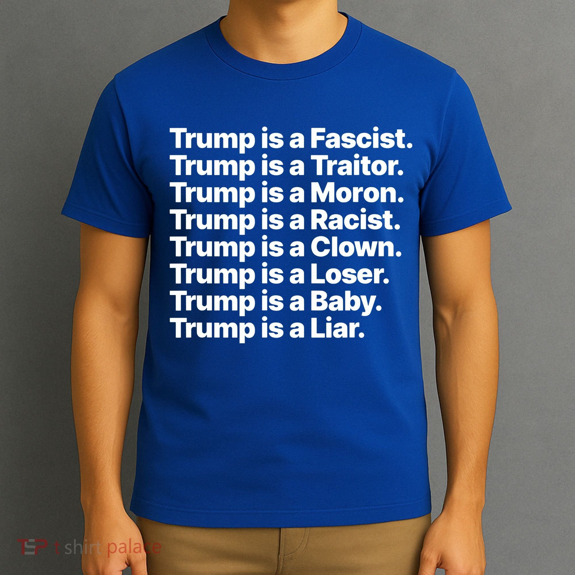 Trump Is A Fascist Traitor Moron Racist Clown Loser Liar T-Shirt