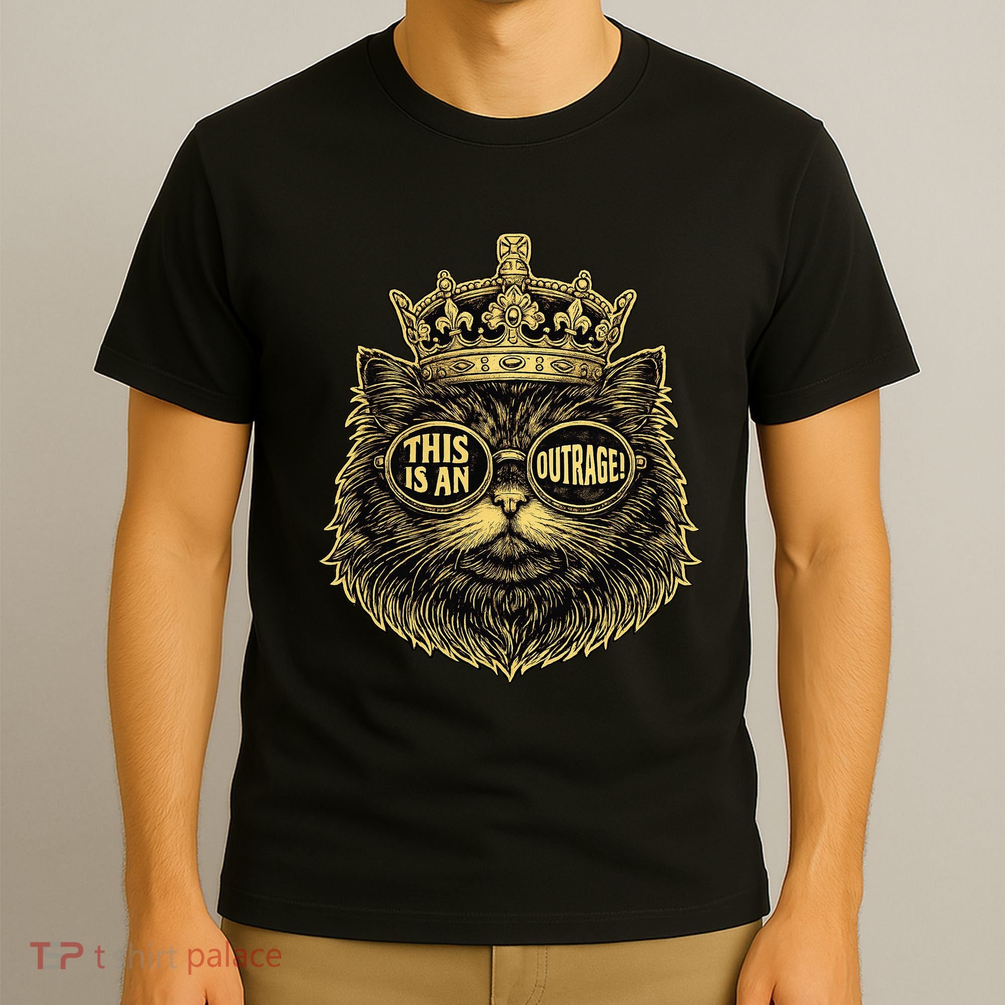 This Is An Outrage Funny Princess Cat Donut Gold T-Shirt