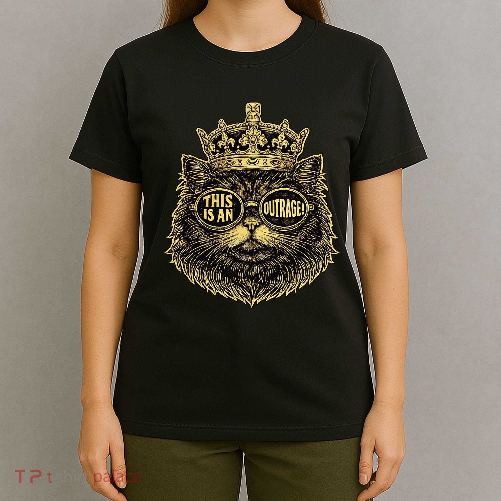 This Is An Outrage Funny Princess Cat Donut Gold T-Shirt