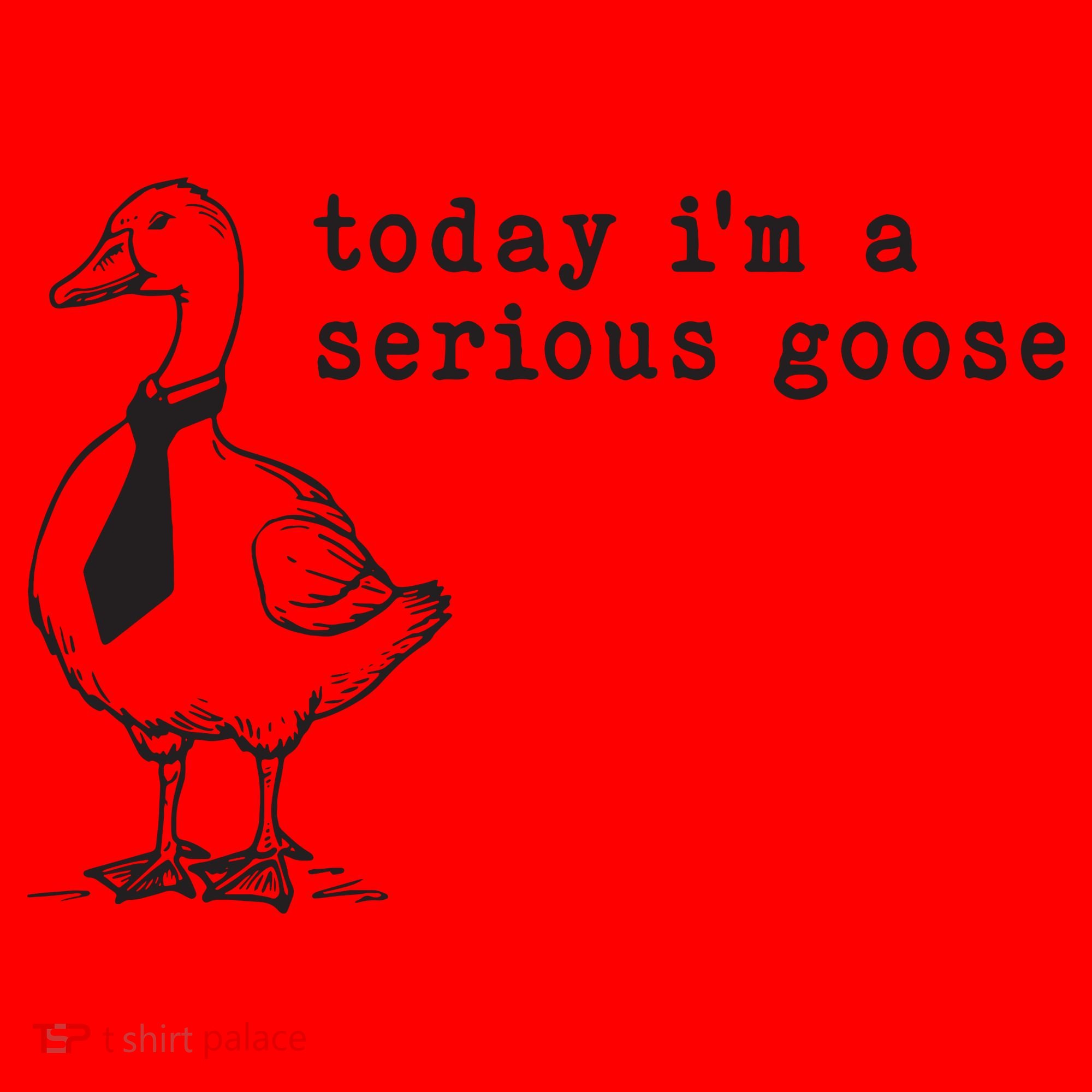 Today Im A Serious Goose Santa Hat
