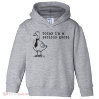 Today Im A Serious Goose Toddler Hoodie thumb 0