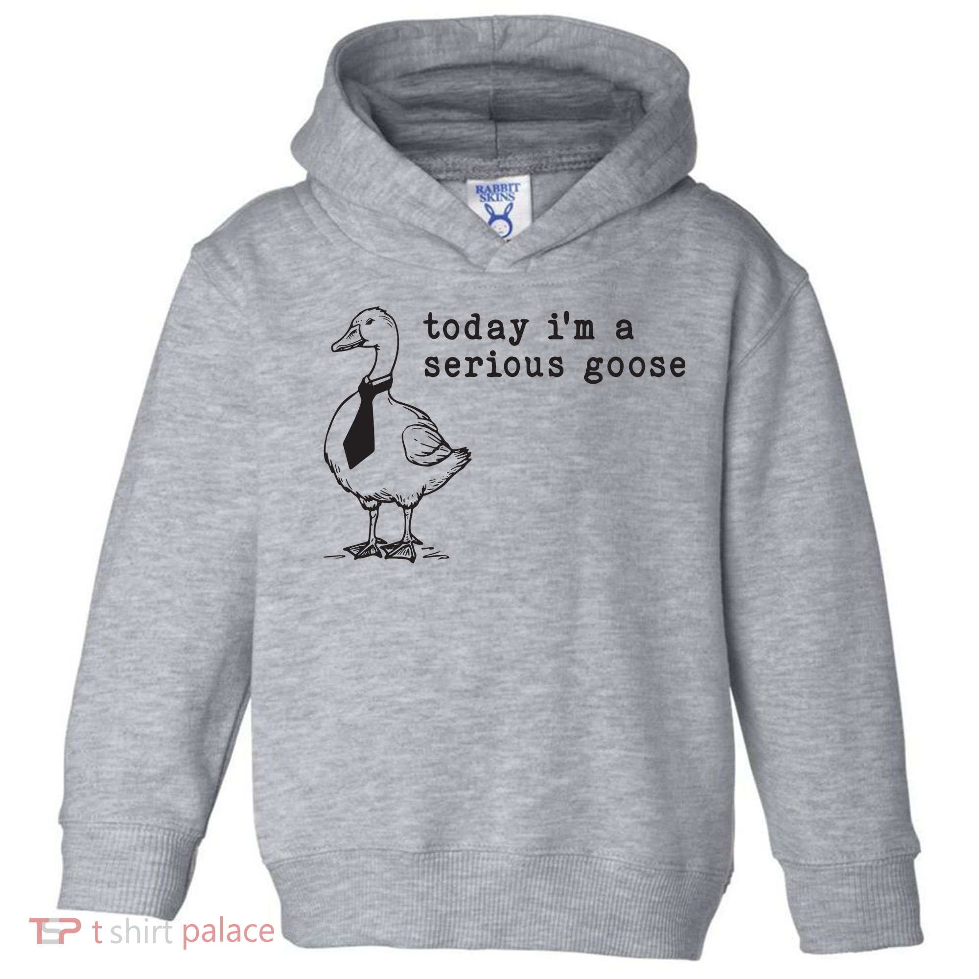 Today Im A Serious Goose Toddler Hoodie