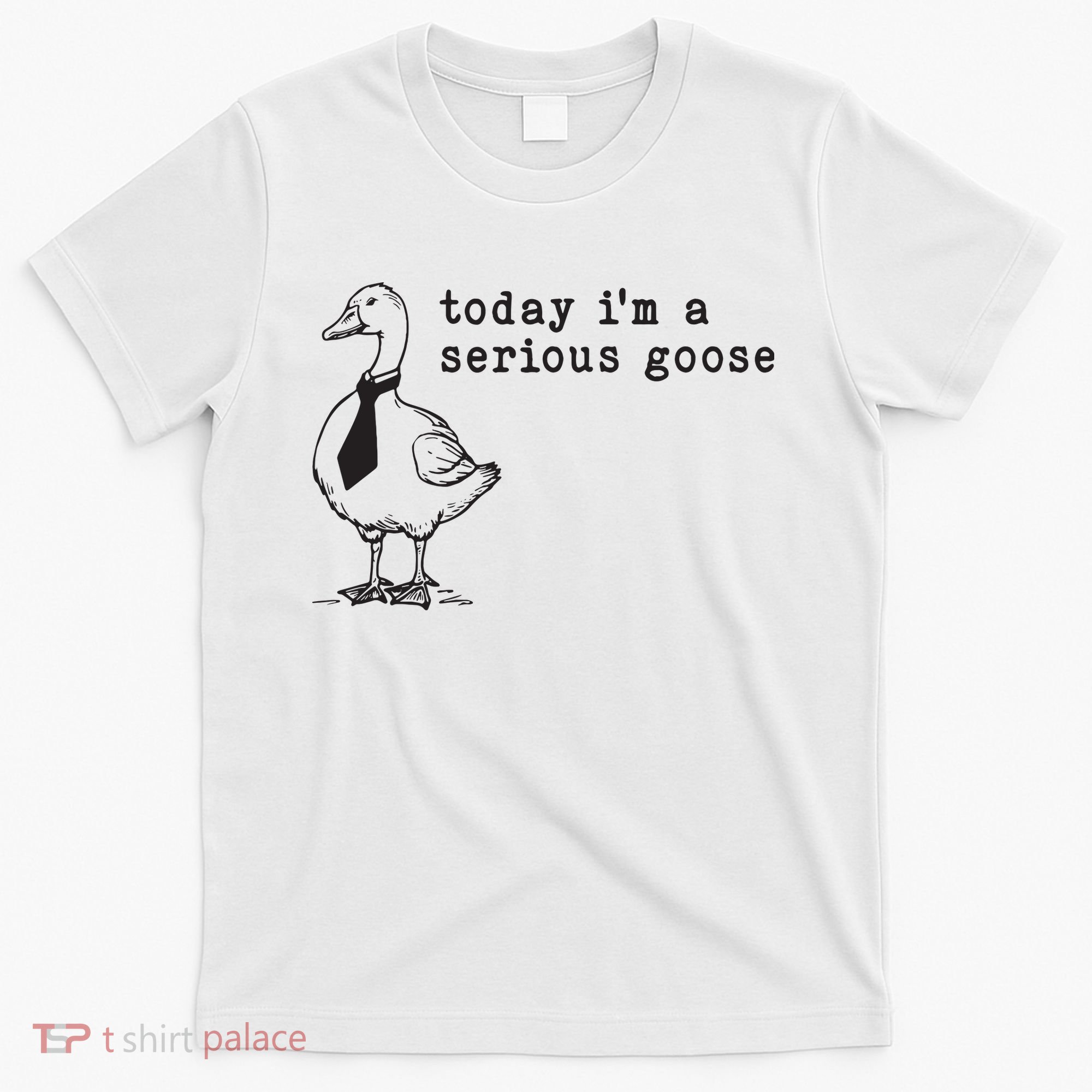 Today Im A Serious Goose T-Shirt