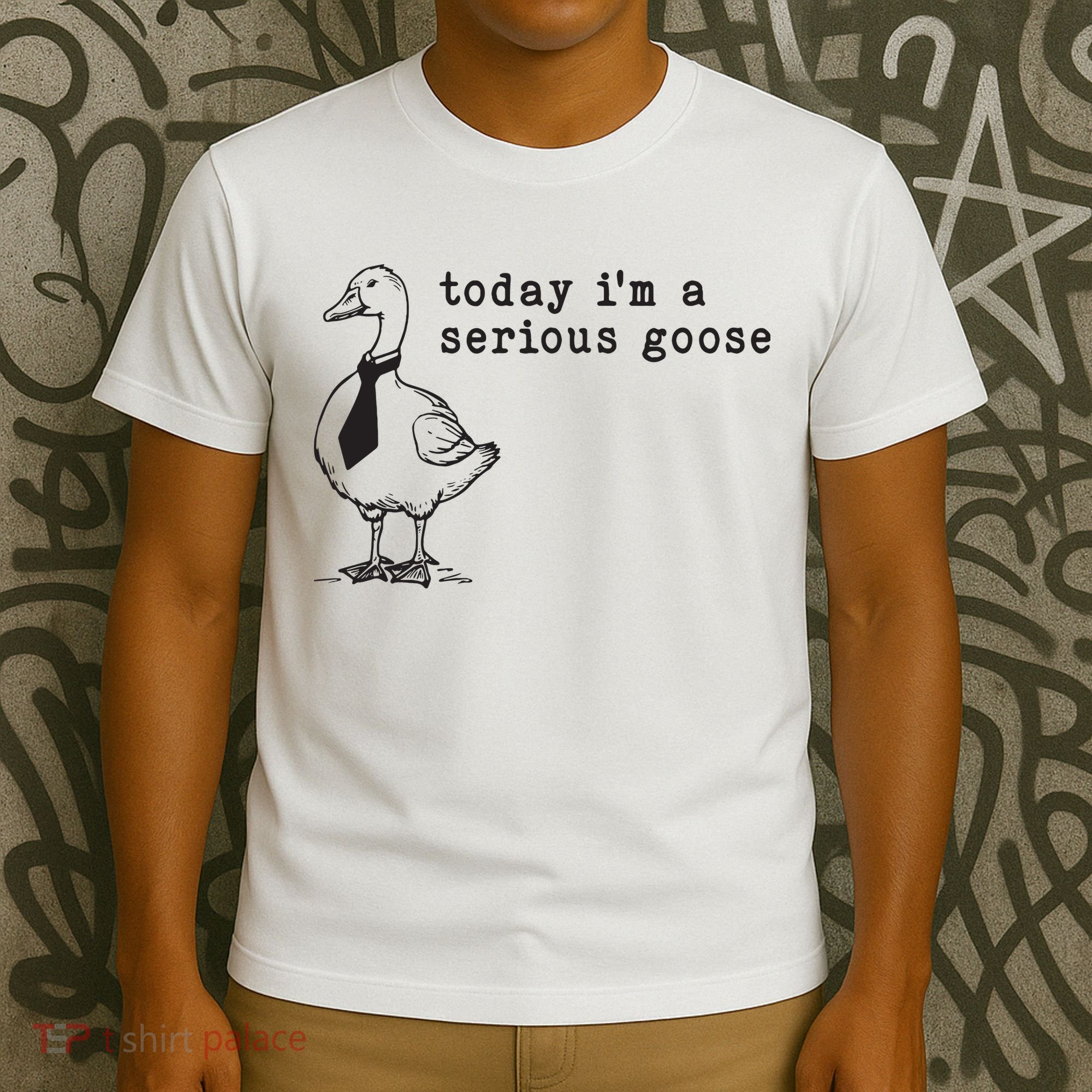 Today Im A Serious Goose T-Shirt